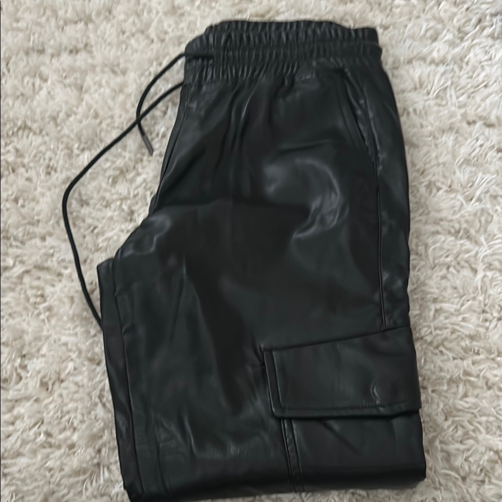 Zara Leather Pants